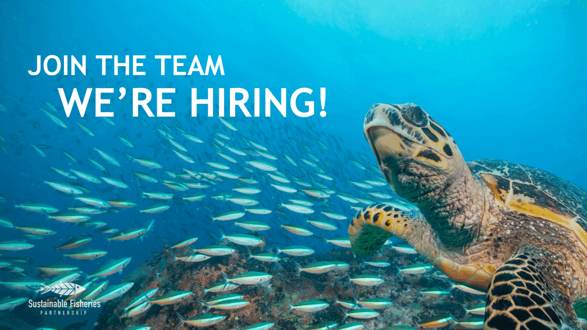 📣We're #hiring! SFP is looking for a Partnership Program Director. 
🌊🌊🌊
Read the full job description here &amp; check out SFP's job openings ⏩ lnkd.in/eTEQiTMB