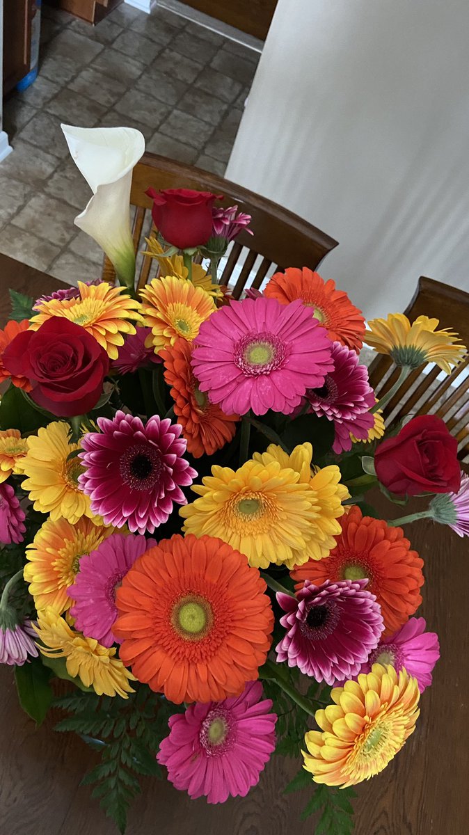 _lcsutton's tweet image. Early birthday surprise… Johnny got me 50 flowers..for the 50th bday and he added 3 roses for Courtney, Matt and AJ and a cala lily for my precious granddaughter, Presely!! I am so blessed!! He is just the best!! ❤️ Thanks for making me feel so special!! I love u bunches!!