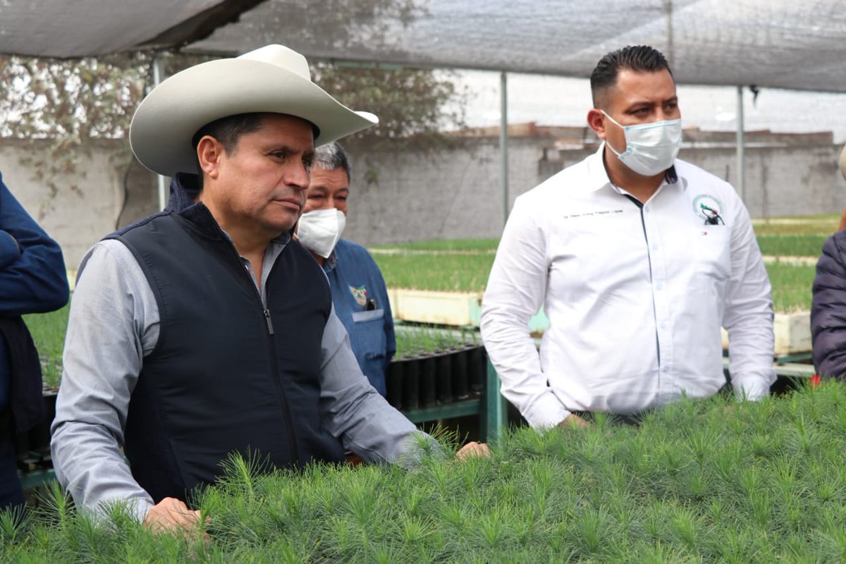 Neltiliz_tli's tweet photo. Me encuentro a nombre del @gobiernohidalgo de @omarfayad en el municipio de #SantiagoTulantepec, con mis amigos de la "Asociación de Silvicultores de la Región Forestal Pachuca-Tulancingo A.C.", dedicados a la producción de árboles forestales, como el pino. 

#HidalgoCreceContigo https://t.co/StfMaiK7XP