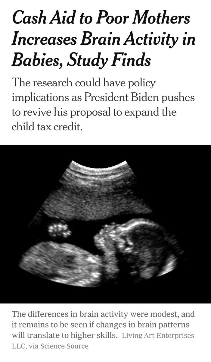 Something's seriously wrong when we need brain scans to argue that moms and their kids shouldn't live in poverty. The new human capital research frontier is wild 🤯