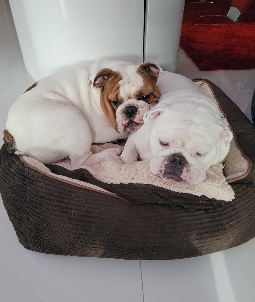 Sparty snuggling with his mom