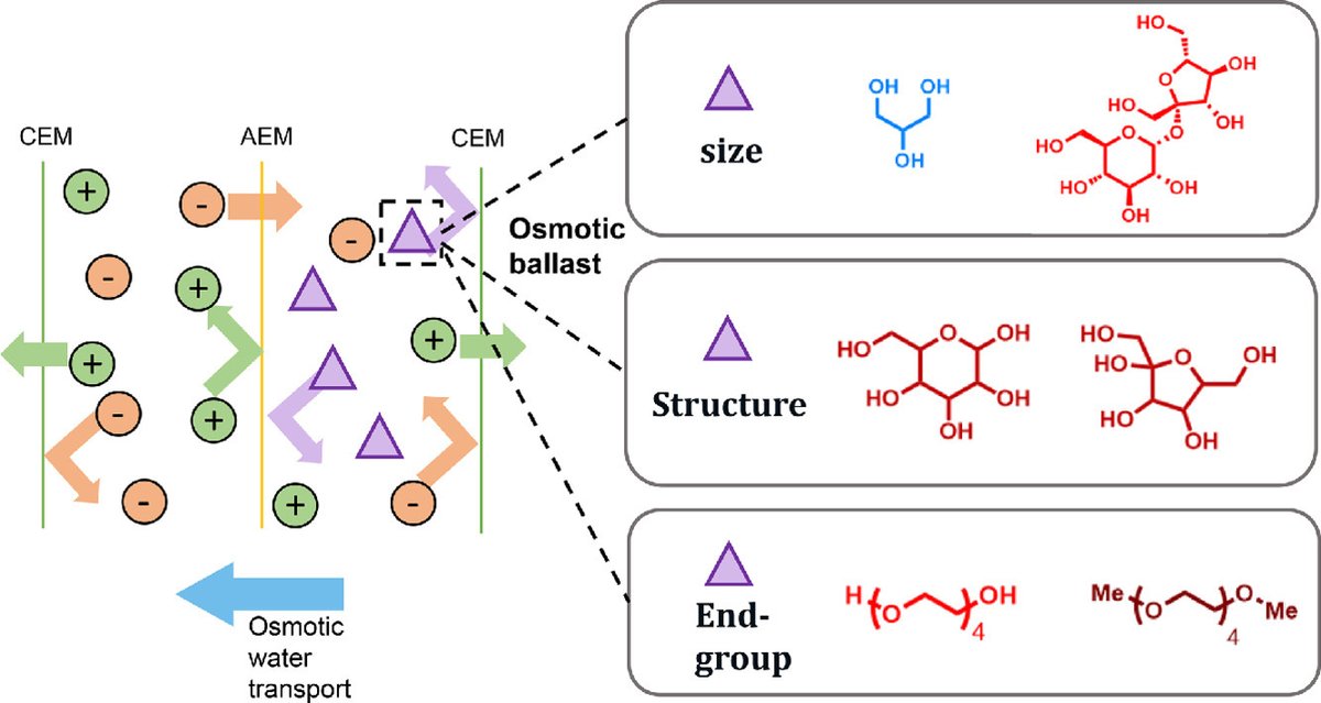 Jeromy Rech tweet media