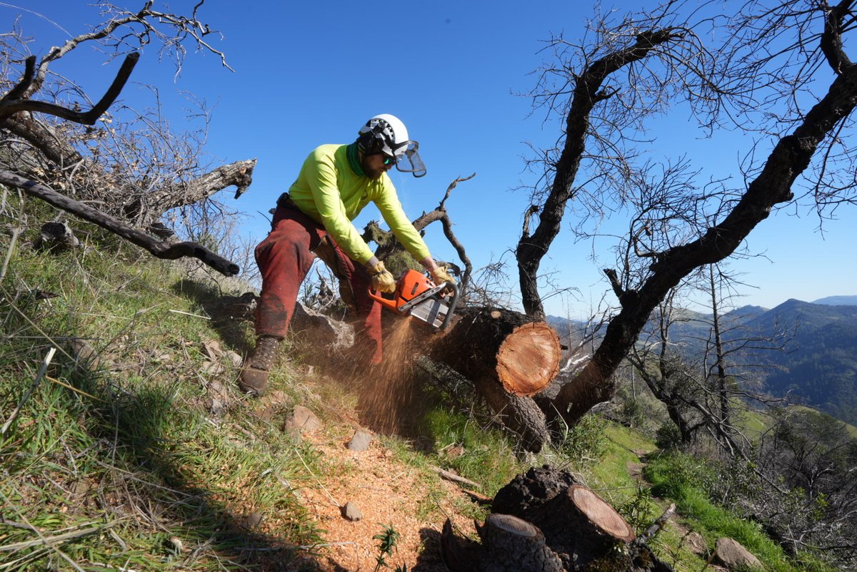 Goodspeed trail is open again!  Thanks to our trail patrol volunteers, Tony from SEC Education, Intern Chris Kam, and Francis from Park Maintenance, who found and cleared over 10 trees that were blown over during the high winds of last weekend.