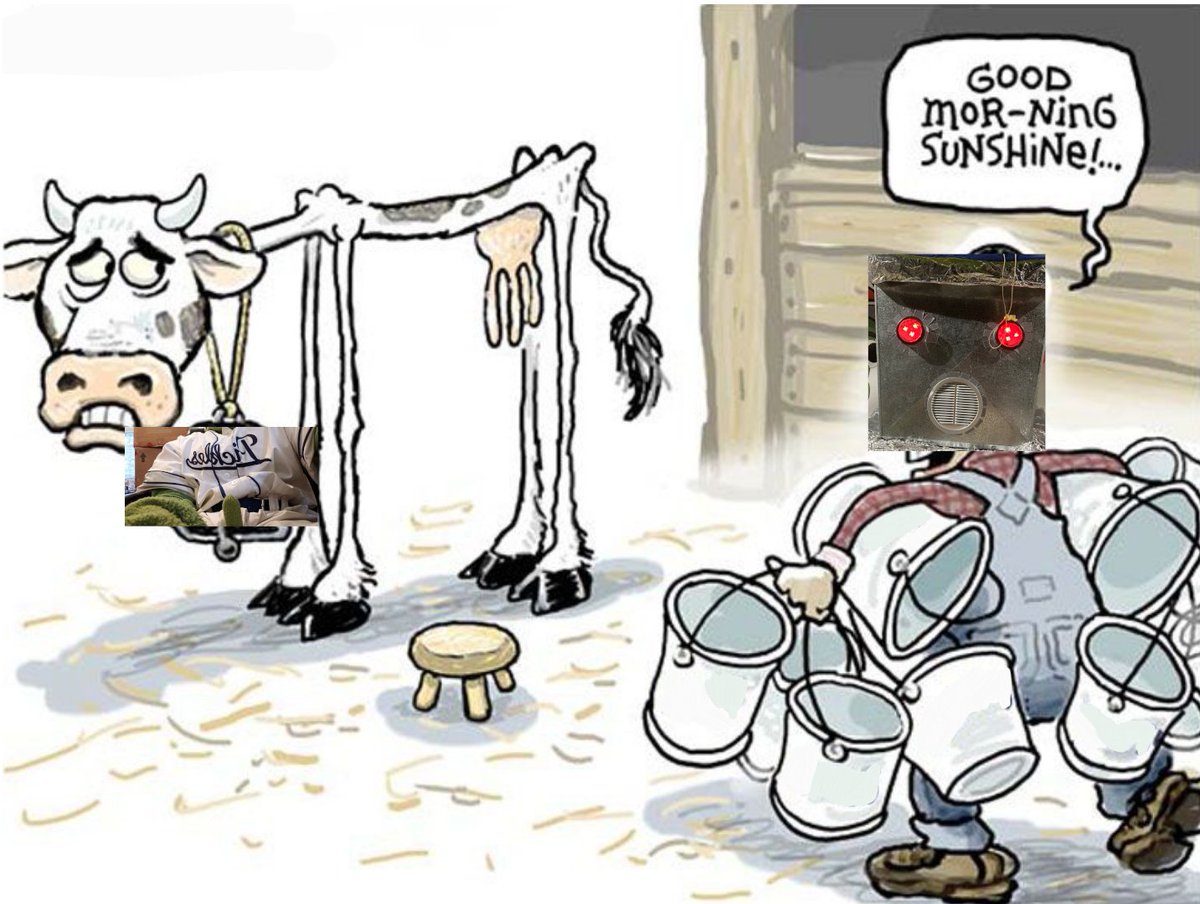 Picklebot 3000 pickle/acc tweet media