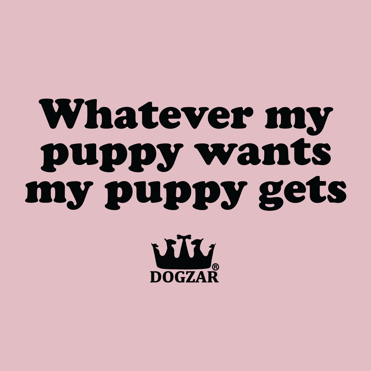 DOGZAR_com's tweet photo. There's nothing better than a little pop of PINK and a PUPPY to brighten any day!
#mydogismyfamily 💗🐶
#pink #puppy 
https://t.co/S7JOkxZ5ii https://t.co/grk1Elulix