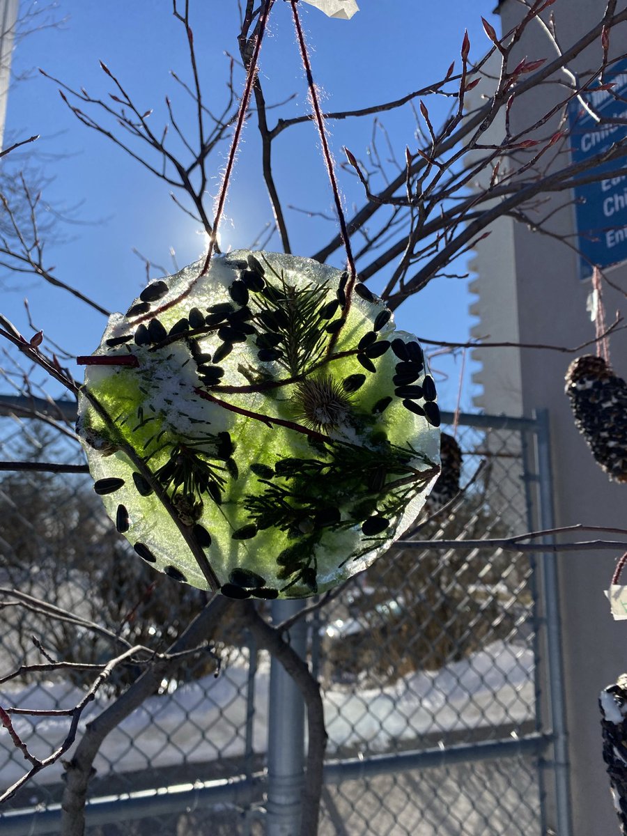 HillsideOutdoorEd tweet media