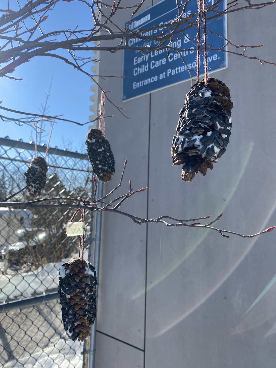 HillsideOutdoorEd tweet media