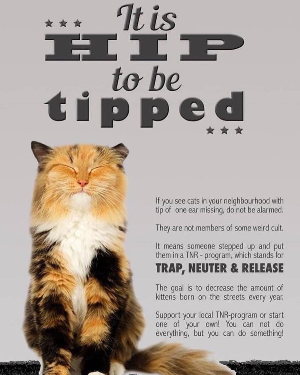 PALSCenTX's tweet photo. Do you feed feral/community cats? If you feed them, please fix them ❤️😻 PALS can help! Please reach out to us at tnr@preventalitter.com if you would like to sign up for our next TNR clinic!

Learn more about our TNR program at https://t.co/uymJpvKnhS https://t.co/xFffFsqIqU