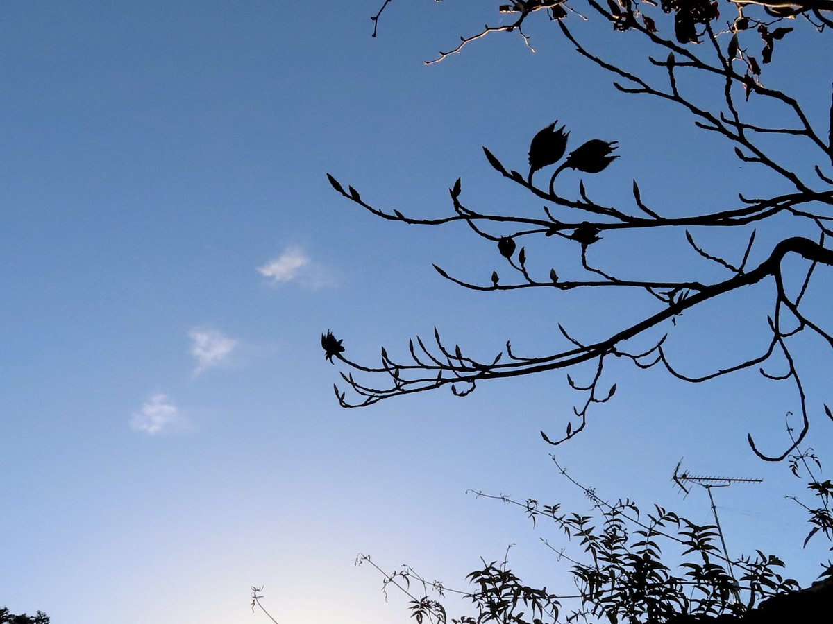 火曜日、おはようの空