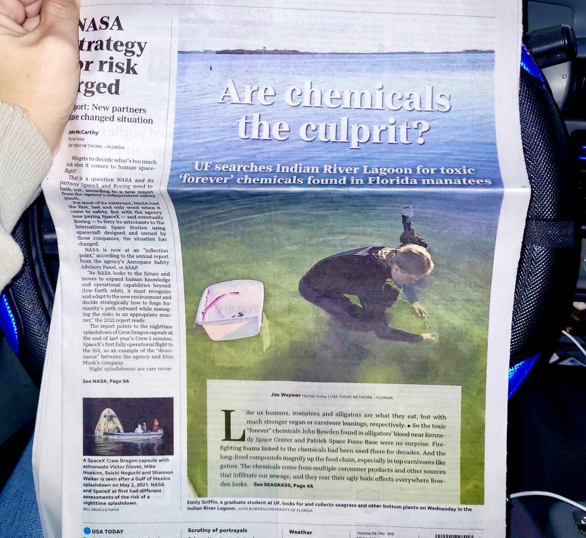 💥 Are chemicals the culprit? UF searches Indian River Lagoon for toxic forever chemicals in Florida manatees.