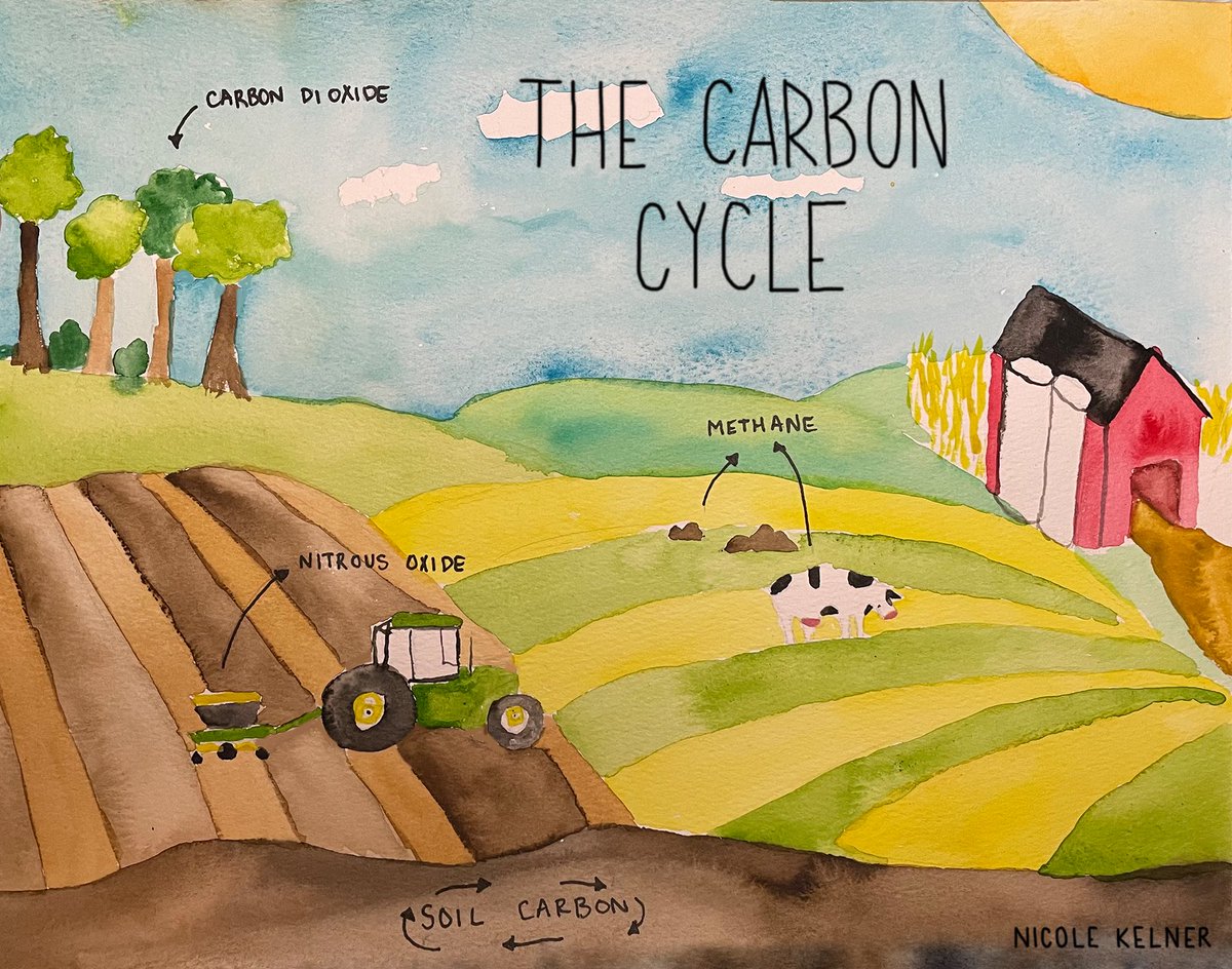 A simplified version of the carbon cycle (on a farm)