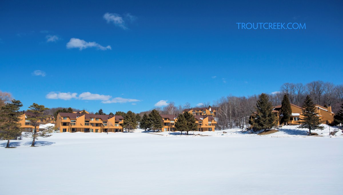 Check out our new Trout Creek Condo website! We are excited to show it off to you 🙂 troutcreek.com #harborsprings #troutcreekcondos #winterfun