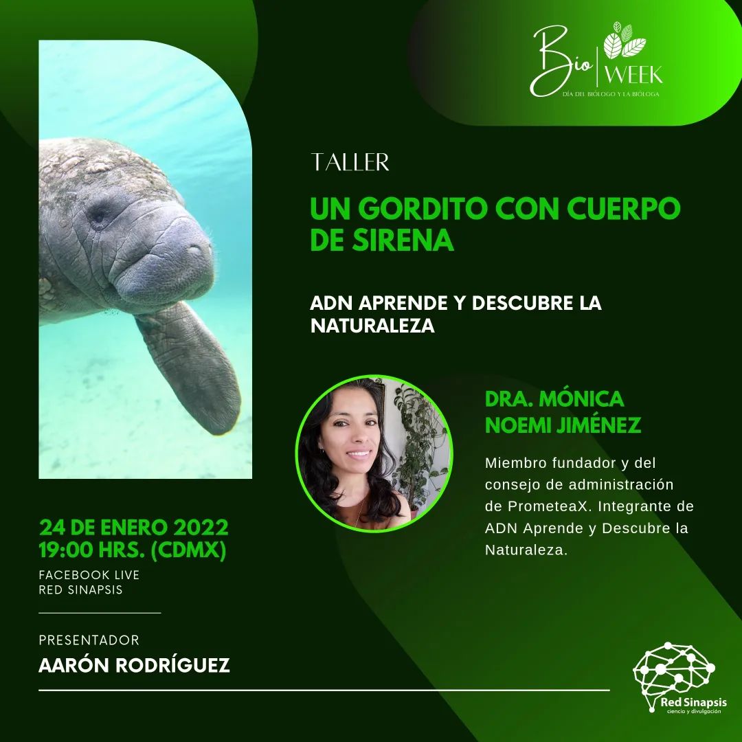 RedSinapsisCD's tweet photo. 🌿Hoy iniciamos la #BioWeek con este interesante taller impartido por @ADNaprende para celebrar la diversidad de mamíferos marinos🌊 en este #DíaDelBiólogo y la Bióloga.
🗓️Transmitimos por Facebook en punto de las 19:00 horas: https://t.co/RWHCTBS3js
#HazSinapsis 🧠 https://t.co/UcMixXbM6f