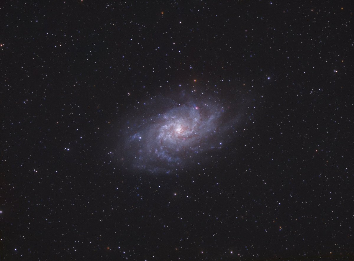 Astrodb3's tweet photo. #M33 #Triangulum #Galaxy just under 4 hours total integration from a dark-ish site. (Bortle 3/4).
@zwoasi 1600mm pro @Celestron AVX #Astronomik Lrgb filters #Astrophotography #universe #messier33 #lookup #cosmos https://t.co/xe6Kc1Qlgl