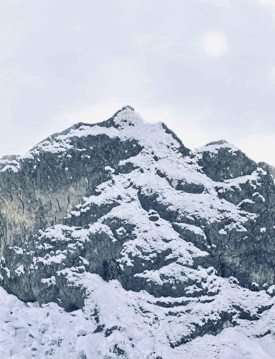 nathanwpyle's tweet photo. fun winter photoshop challenge: find a tree that you can turn into a mountain https://t.co/L2SVcWSHty
