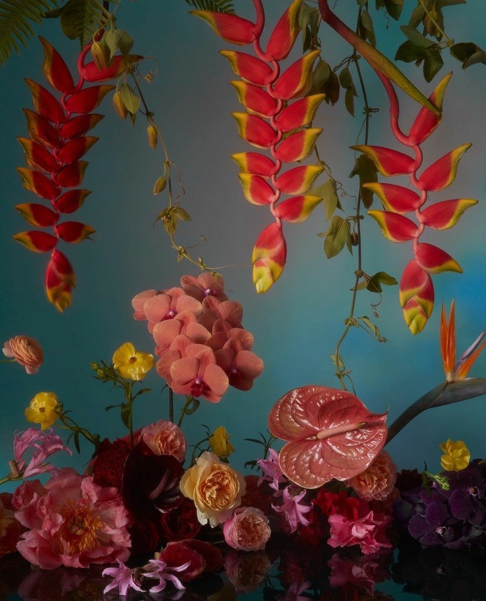Flowers.