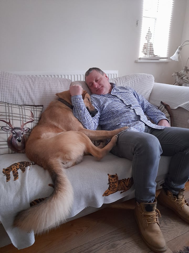 OehFoundation's tweet photo. Bruno, one of our rescue dogs, seized by the police as a dangerous dog, he was a puppy, showing how loving he can be in his new home https://t.co/cJqOgUSEqE