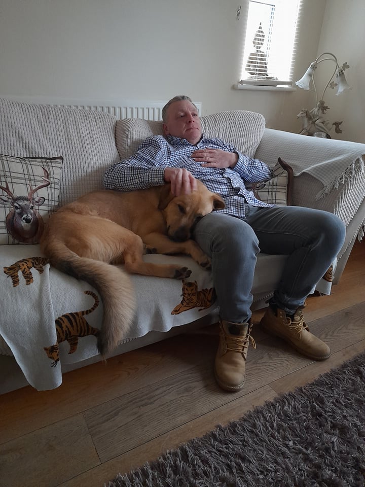 OehFoundation's tweet photo. Bruno, one of our rescue dogs, seized by the police as a dangerous dog, he was a puppy, showing how loving he can be in his new home https://t.co/cJqOgUSEqE
