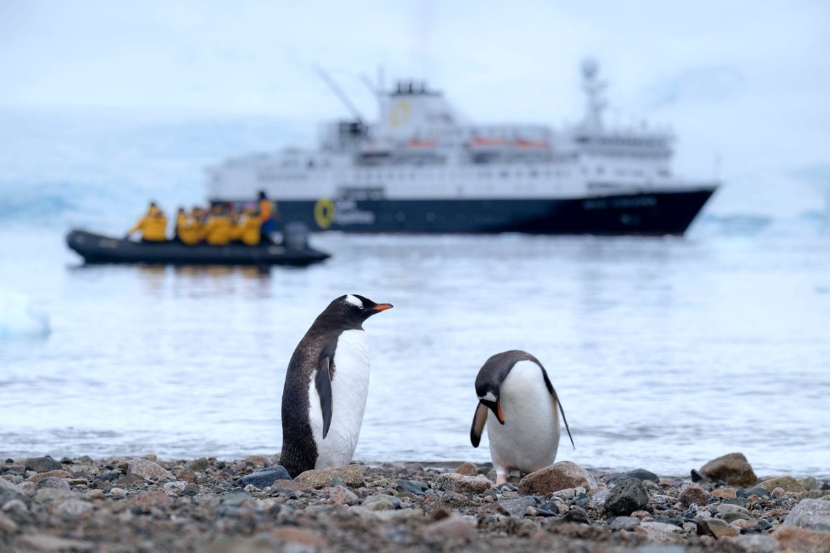 tpatagonico's tweet photo. ¿Cómo afecta el cambio climático a los pingüinos de la Antártida? >> https://t.co/DGGPBRxs4V https://t.co/wnvv5695NP