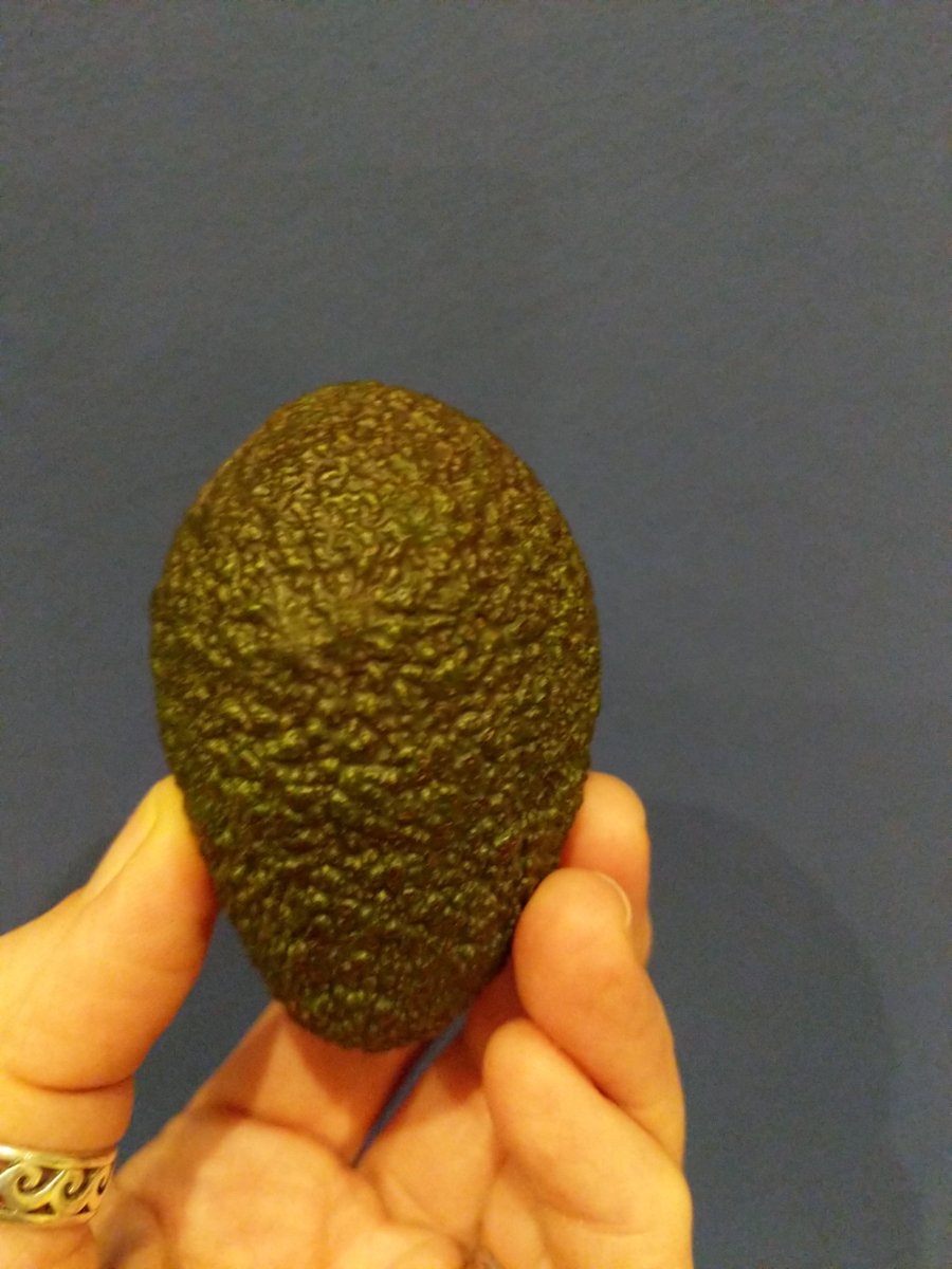 biorunner03's tweet image. Think this avocado is just stone and skin #tinyavocado