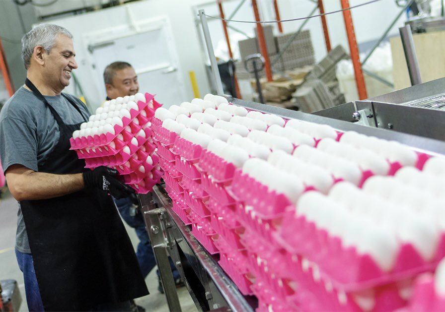 Saskatchewan’s egg farmers are pleased to donate 1,200 dozen eggs to <a href="/yxeFoodBank/">Food place</a> today, with a shipment planned for <a href="/ReginaFoodBank/">Regina Food Bank</a> later this week. Thanks to <a href="/StarEggSk/">Star Egg</a> for delivering the donations. <a href="/eggsoeufs/">Egg Farmers</a> #yxe #yqr #sask