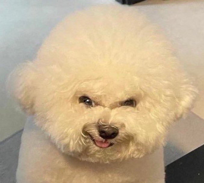 He’s in need of more roses

@pulchralilium