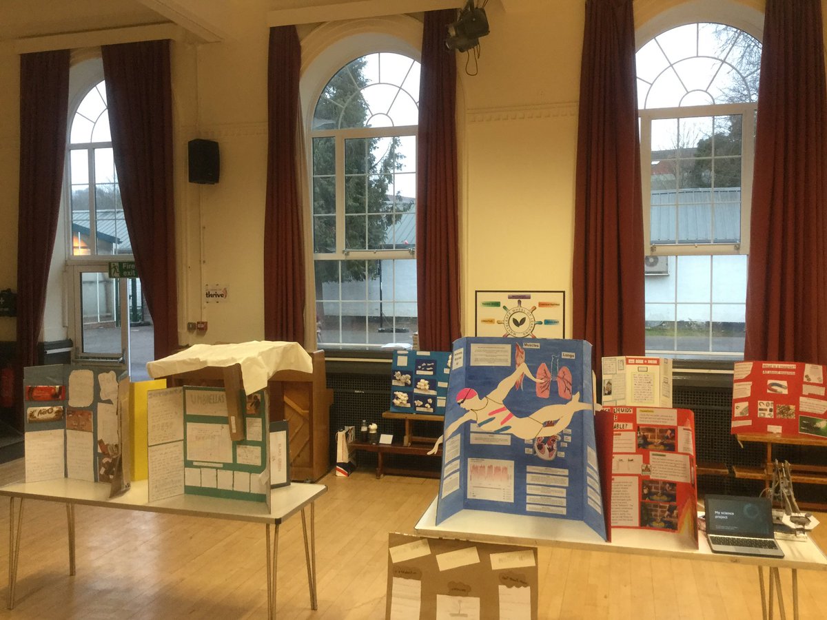 Whyteleafe_sch's tweet photo. More of our Science Fair projects https://t.co/cUbA1zwDam