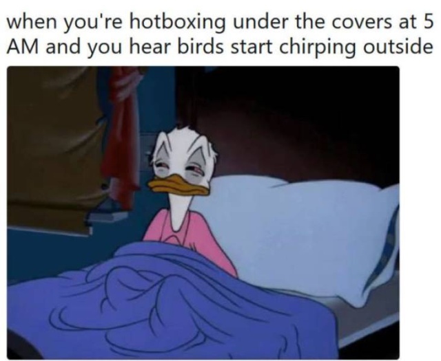 Hope you got to HOTBOX your head over the weekend.