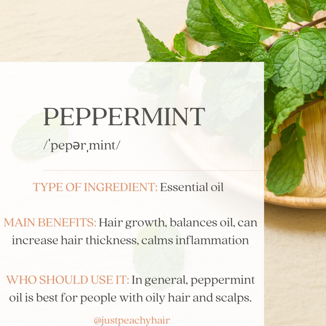 justpeachyhair's tweet photo. Do you know the benefits of peppermint in hair products? It’s increasing circulation with a vasodilator like peppermint could potentially improve hair growth and prevent some hair loss. Peppermint menthol also imparts a freshened smell and tingly sensation on the skin and scalp. https://t.co/1jrUsMXEfK