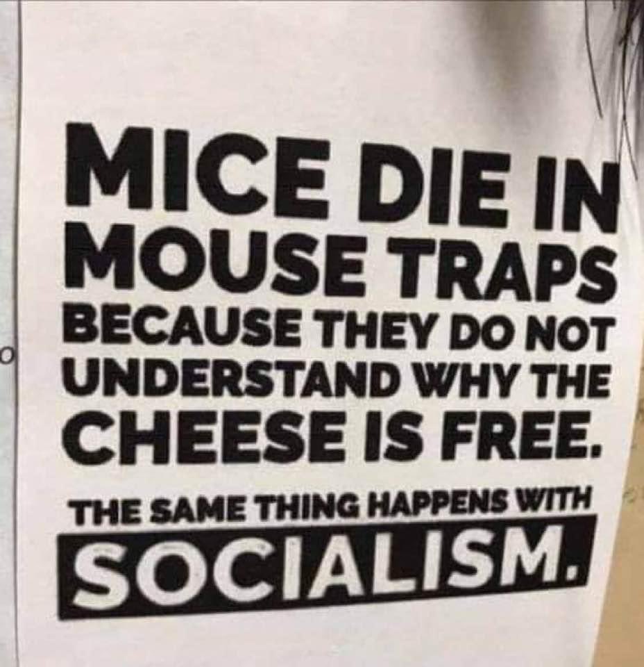 Bradford Forkner tweet media