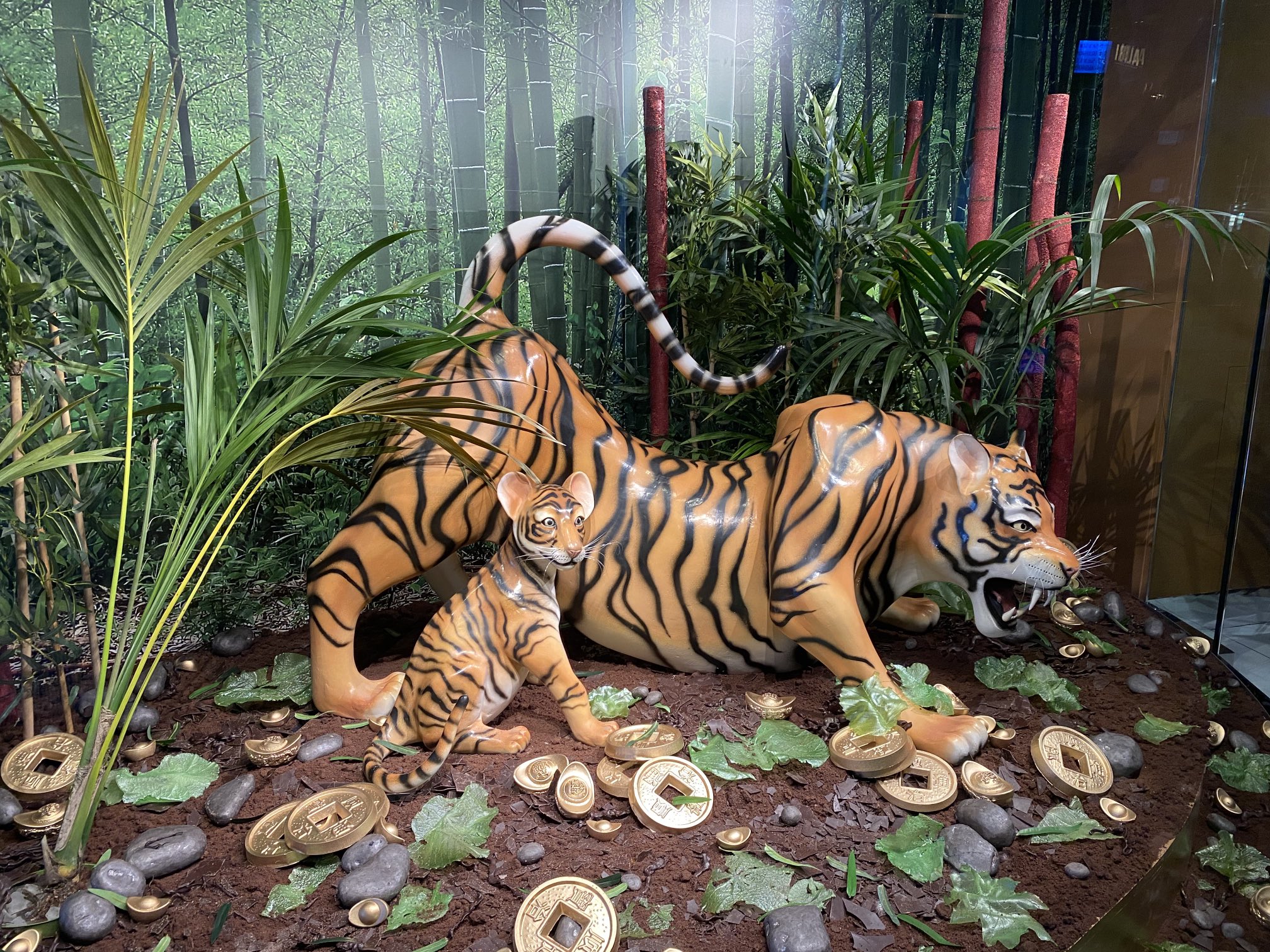 Tiger Habitat School Project