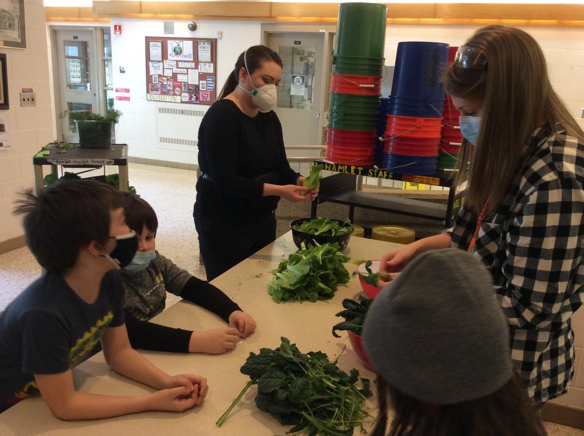 Hamlet Hornets tweet media