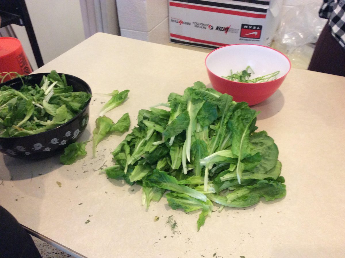 Hamlet Hornets tweet media