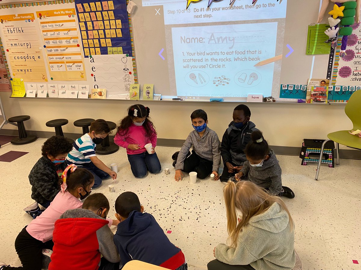 FirstGaffney's tweet photo. Students are experimenting with their “bird beaks” and “duck beaks” to determine which is better for eating in different environments. Learning about animal structures &amp; survival in #mysteryscience #csdnb https://t.co/fj5M0EZAkP