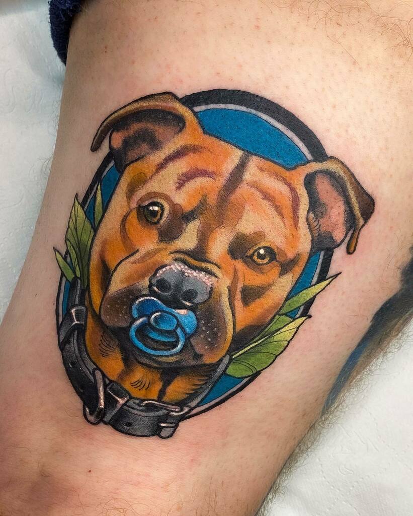 Tattoo uploaded by Stacie Mayer  Pit bull and yellow rose tattoo by Nate  Corder traditional petportrait rose yellowrose dog pitbull  NateCorder  Tattoodo
