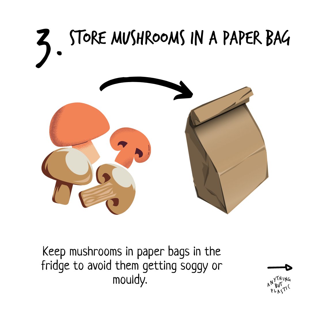 Anything But Plastic tweet media