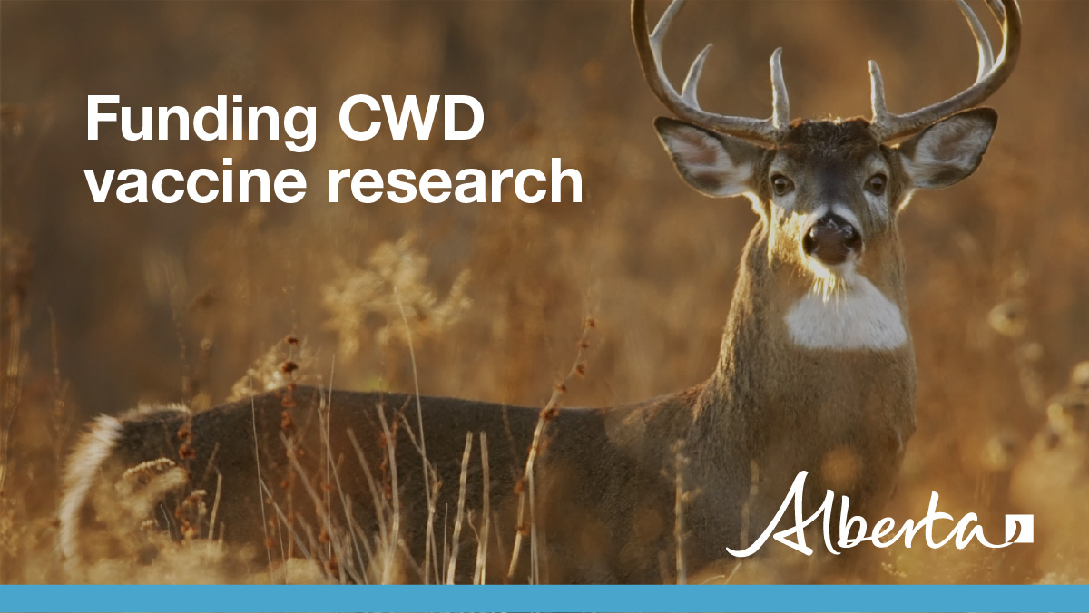 Alberta Environment and Protected Areas tweet media