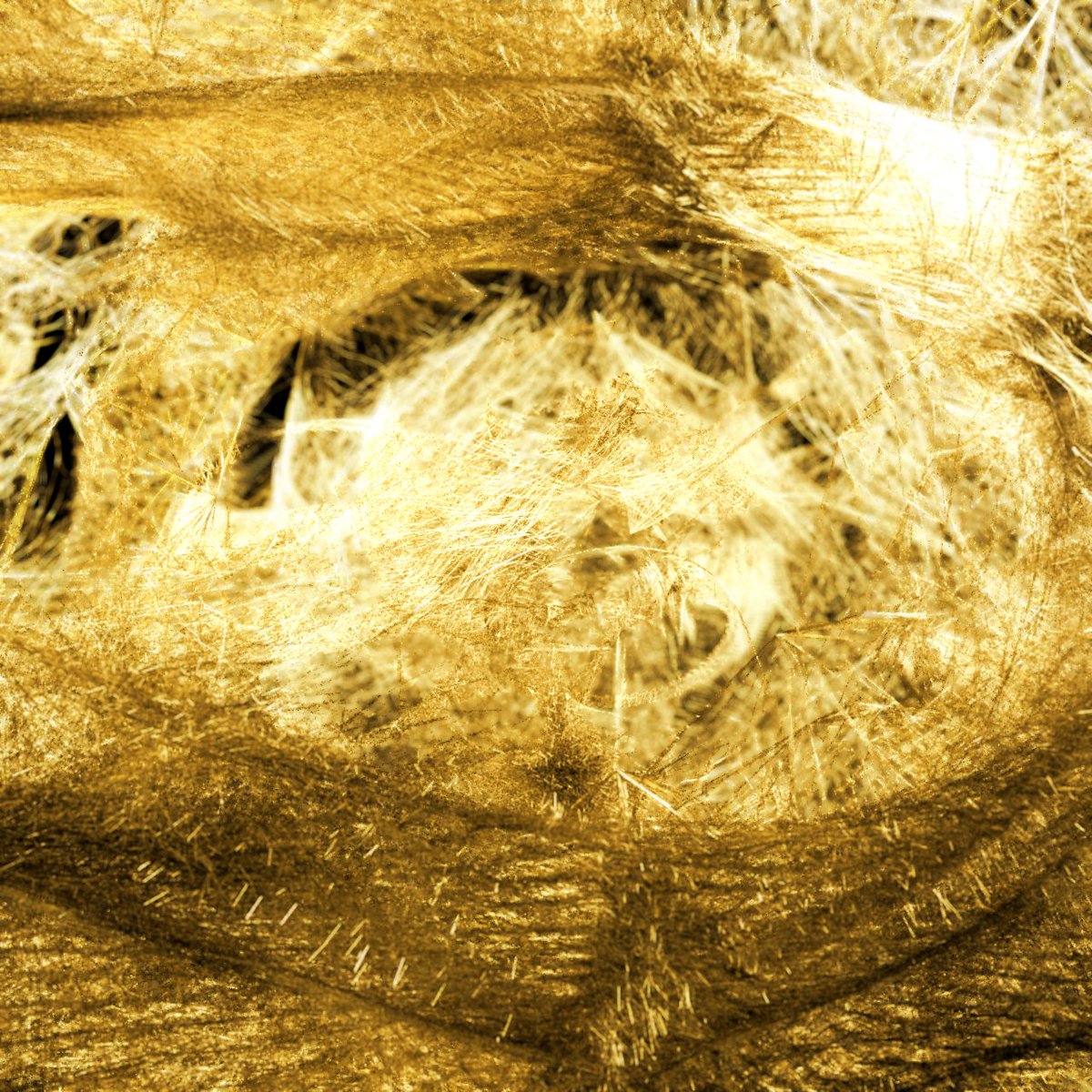 the_grecu's tweet photo. golden orb weaver silk from another dimension 🕸️🌞
(sneak peek of the next ...👀) https://t.co/TZXOyKiZ6O