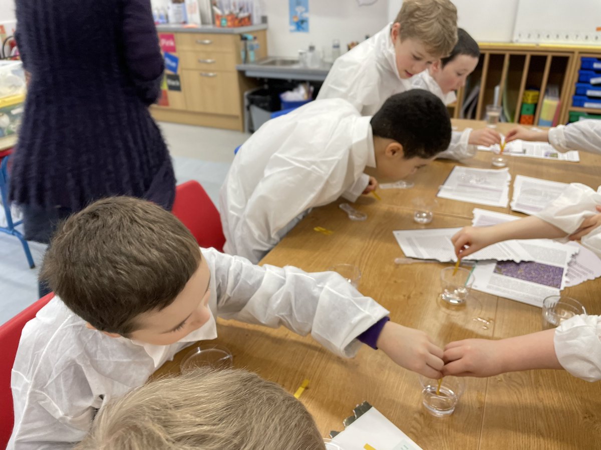 StrontianP's tweet photo. Wow! Thank you Dr Gray! Science in action today. We learned so much. We became scientists with lab coats.
We learned about how to carry out an experiment, pH, coding, new scientific vocabulary, we asked questions, we thought about our senses, we had fun! @UHISTEM https://t.co/hSmo0YscjB