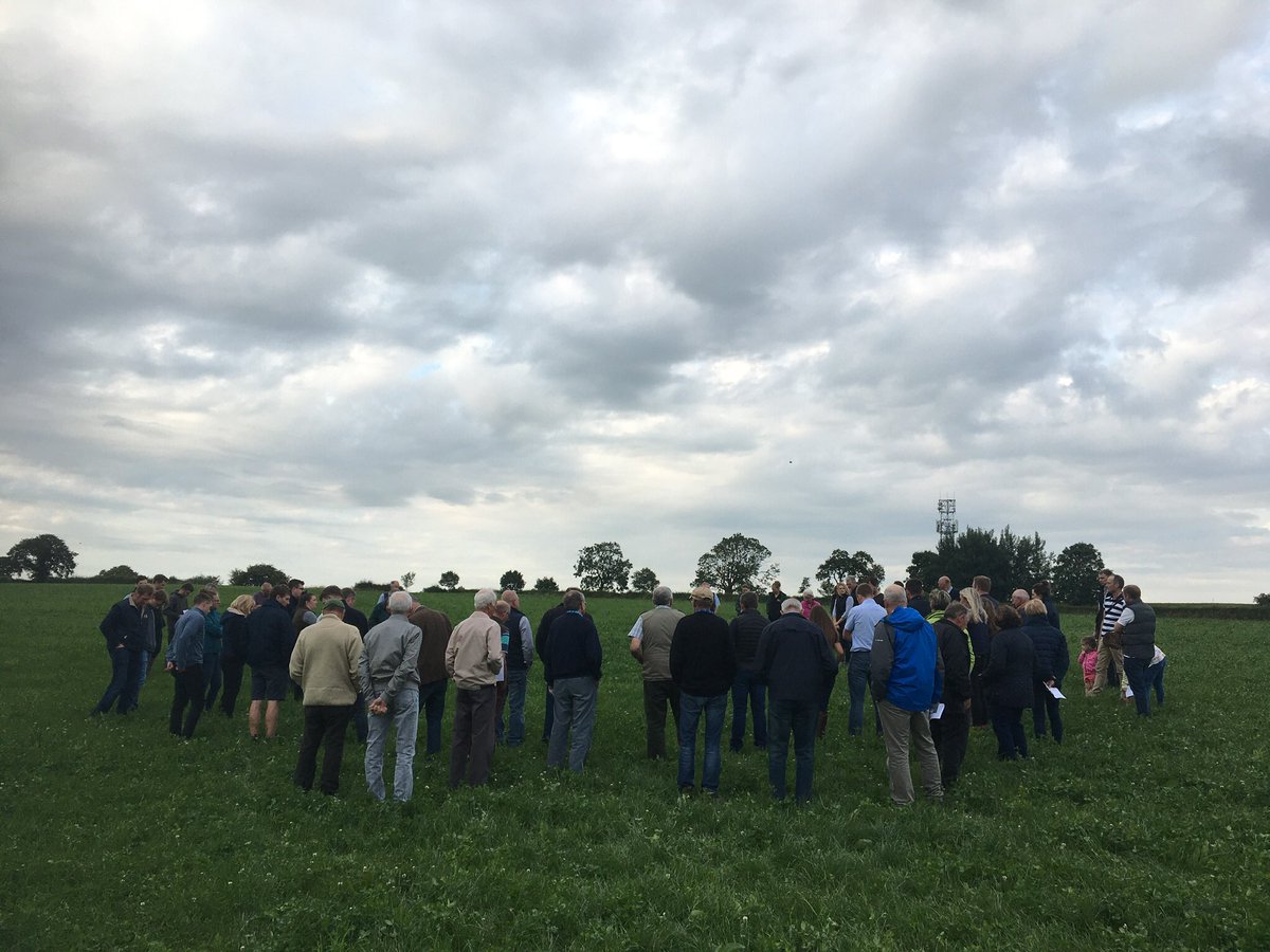 WestonDiscGroup's tweet photo. Our 2021 summer walk https://t.co/RMLLUHYgYf