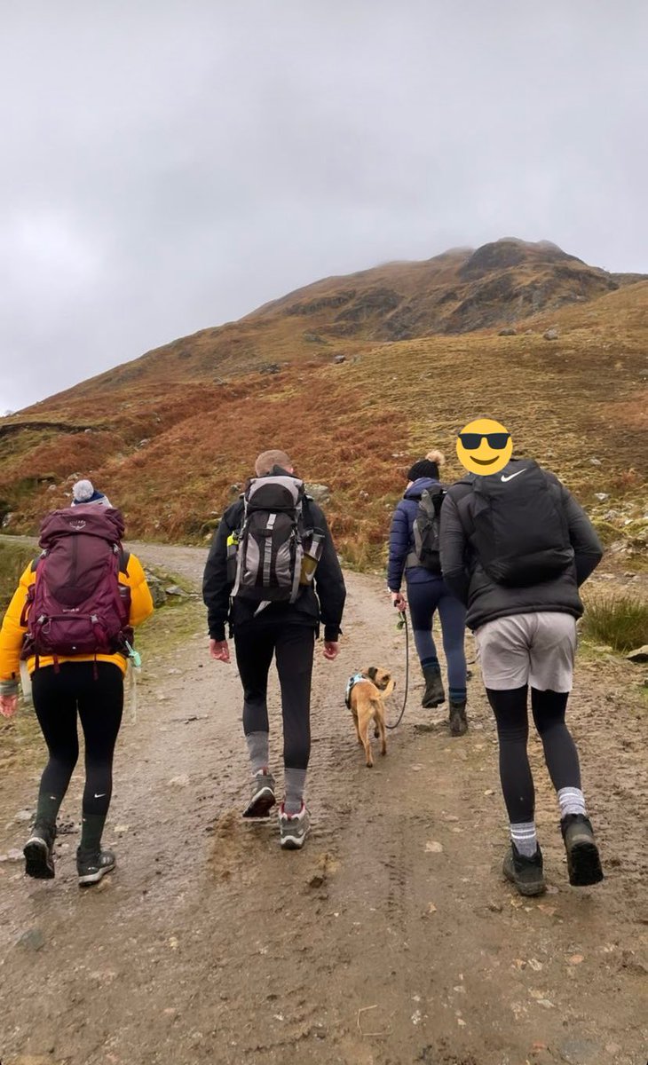 Regends5Regends's tweet photo. Regends took the day off to go on a pre-comp walk. @MikeyCraig7 has hit the gym pretty hard this weekend, thickened out the back and gained about a foot.

We’d also like to introduce @CaraLambPE to Ted, our mascot. He may not be there physically tomorrow but he’s there in spirit. https://t.co/MvmDfjSGs5