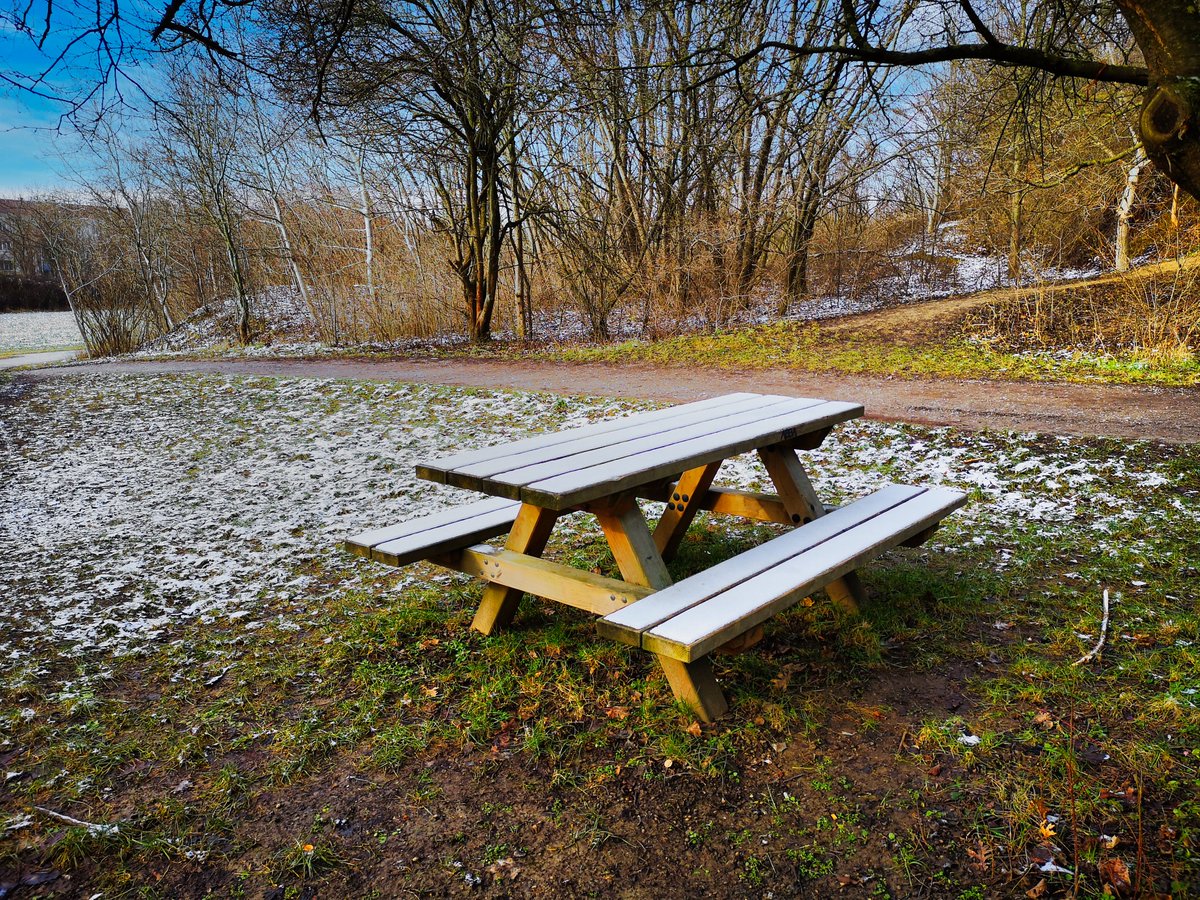 DJairportdisco's tweet photo. A clear sunny winter day.
#sunny #clearwinterday #winterday #January #wienliebe #bench #bluesky #MondayMood #NaturePhotography #mypicture https://t.co/8pyep3FI7u