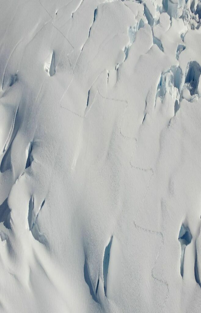 Fearvana tweet media