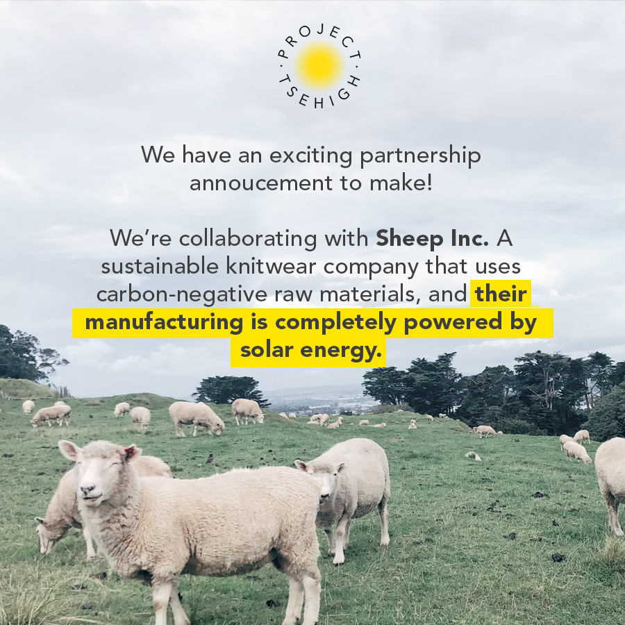 ProjectTsehigh's tweet photo. Something’s coming on January 27!! ⏳

Over the past weeks, we’ve given you insights into the devastating implications of fast fashion - and we want to go one step further. For our latest partnersheep, we are collaborating with @inc_sheep who produces #sustainable knitwear! 💚🐑 https://t.co/aBo5FbaWFB