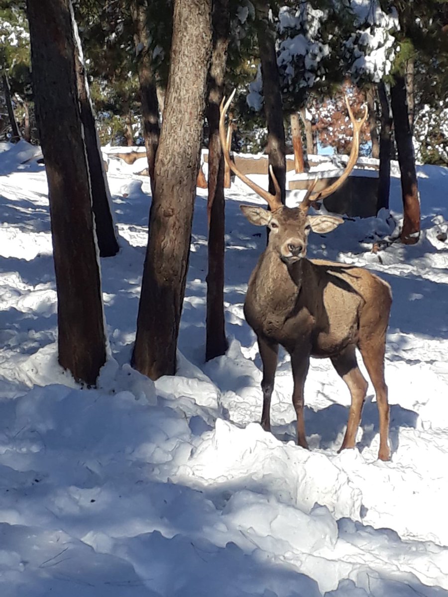 GAZİANTEP BÜYÜKSEHIR BELEDIYESI DOĞAL HAYATI KORUMA VE DOĞAL YAŞAM MERKEZİ
