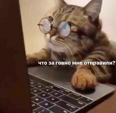 я каждый день на работе: