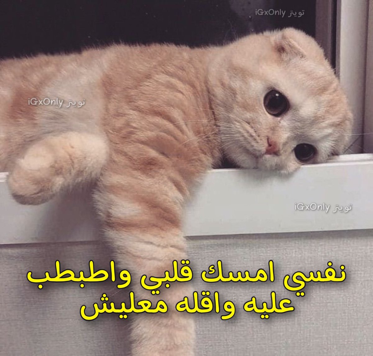 Toonzatt's tweet photo. Mood: https://t.co/vcHRPgG2tW