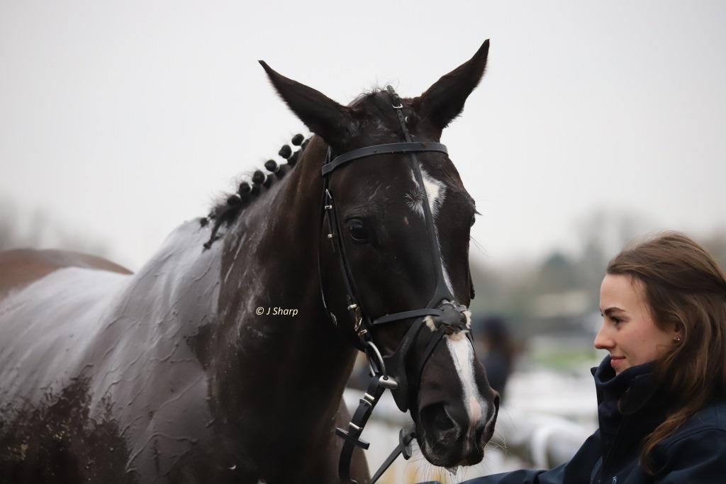 SharpBadger's tweet photo. Not keen initially on having her photograph taken (Honey, that is) but @pippabaker_ soon sorted it out, thanks Pippa 👍 @OBMRacing @MprUpdates https://t.co/MGW9S3fKrk