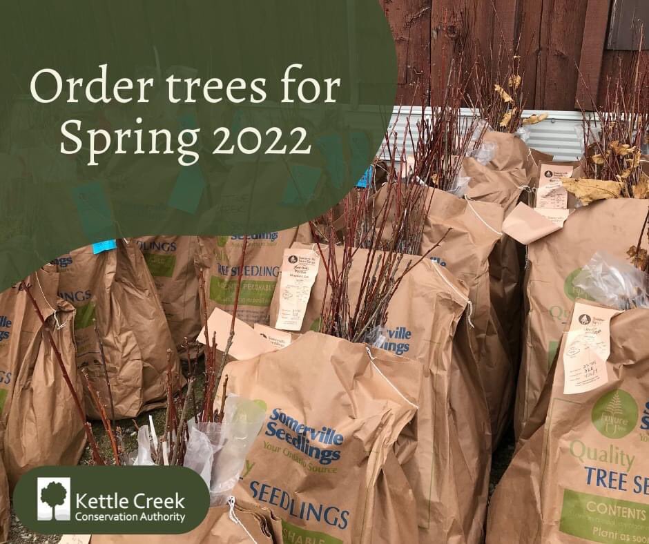 KettleCreekCA's tweet image. It's time to start thinking about your Spring 2022 tree planting project! Trees are preordered and stock is limited so order soon to avoid disappointment. Sites w/ 500 trees or more also include planting by KCCA staff and funding may be available to help offset the costs.

1 of 2