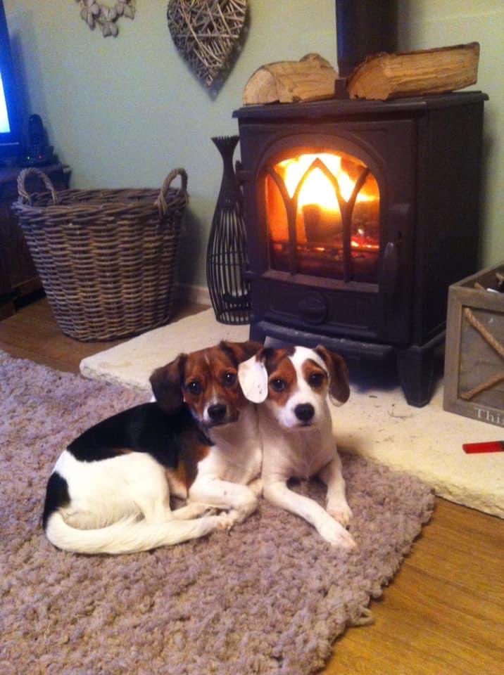 rosiedoc666's tweet image. EVERY CHRISTMAS 🎄 THIS FAMILY THINK….this year he’ll be home….we’ll get that ☎️ 
Every year goes by…..nothing 😞
#HelpfindChester 
#missingsevenyear #checkmychip 

facebook.com/groups/4680446…